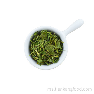 Rempah -rempah sayur -sayuran kering dan batang cilantro premium